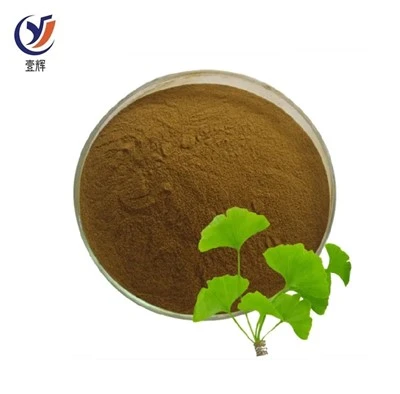 জিঙ্কগো বিলোবা পাতার নির্যাস